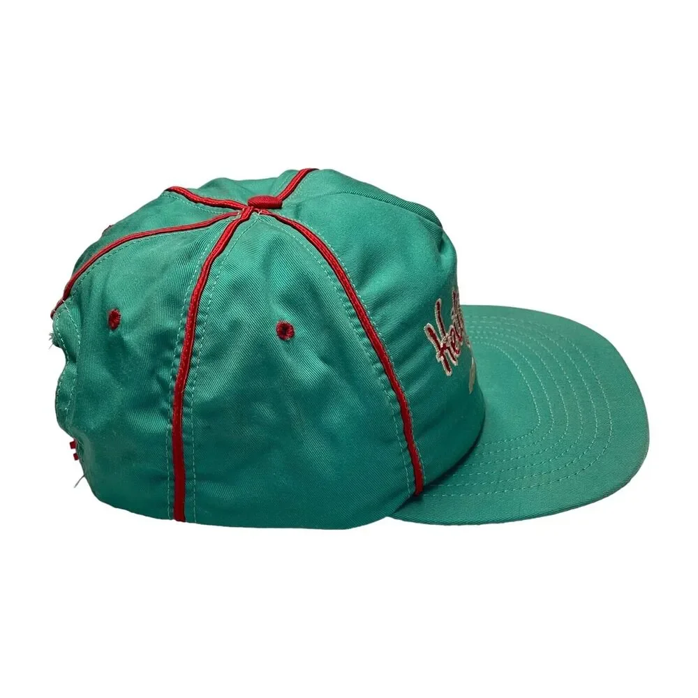 SKM Aqua Embroidered Bobby Hillin Jr. Nascar Heilig Meyers Racing Snapback Hat - Picture 3 of 7